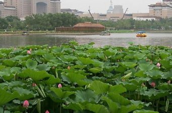 蓮花池公園