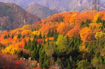 北京懷柔崎峰山國家森林公園