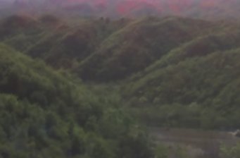 蓮花山森林公園