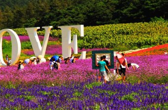 愛琴海薰衣草莊園