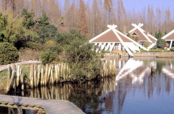 崇明東平森林公園