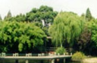 松鶴公園