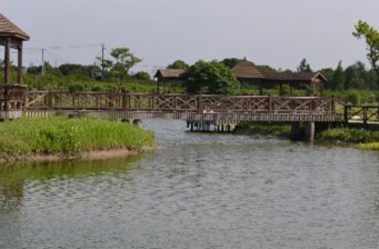 上海香薇玫瑰莊園