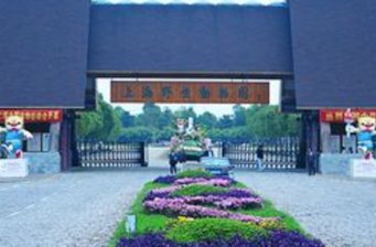 動物表演場