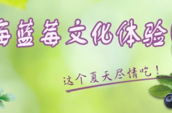 上海藍莓文化體驗園