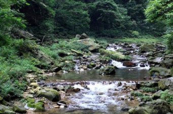 張家界大峽谷