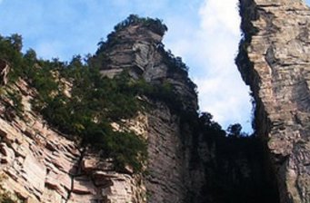 神鷹護(hù)鞭
