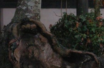 天寶公園