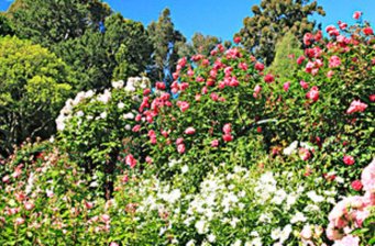 瀏陽植物園