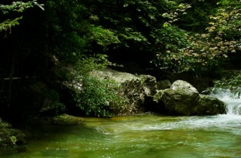 紫林山