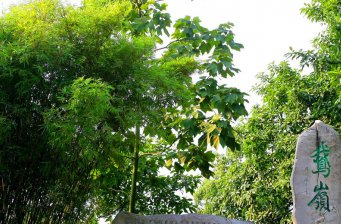 鵝嶺公園