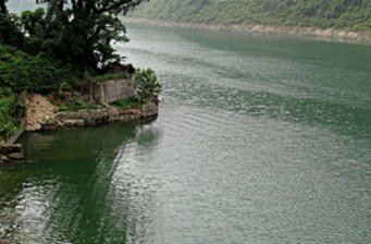 大板營原始森林