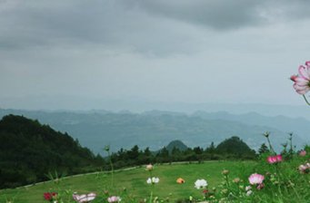 岐山草場