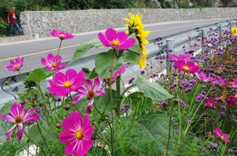 武陵山花園環道