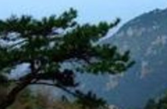 齊廬山