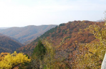 勞山森林公園