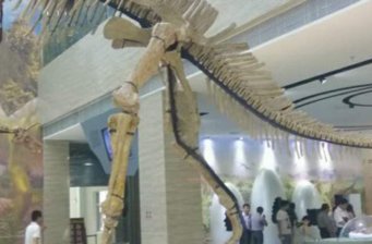 萊陽白堊紀地質博物館