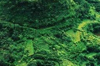 包子嶺