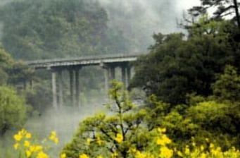 洪村