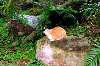 螺絲山公園