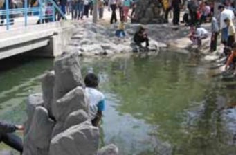 青城公園