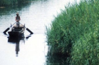 漁人樂園生態園