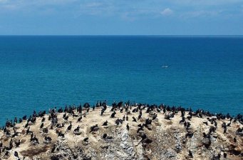 青海湖湖區