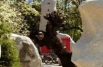 黃河奇石苑