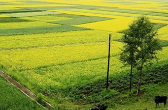 日月山·倒淌河