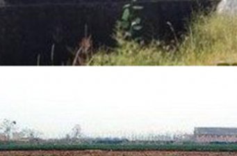 “阿善”遺址