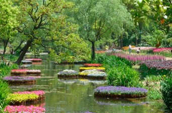 小黑江森林公園