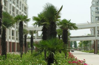如東*中學