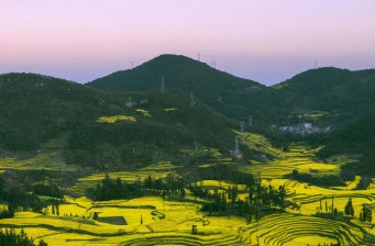 金雞峰叢