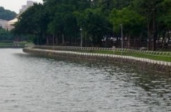 碧湖公園