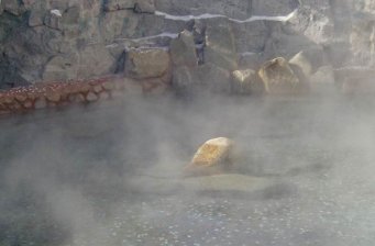五龍背溫泉