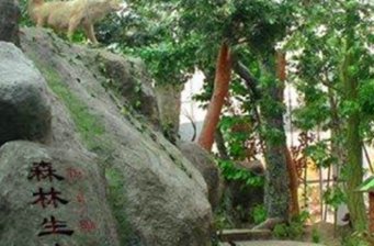 綠水地質(zhì)景觀展示館