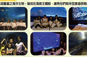 臺灣花蓮遠雄海洋館