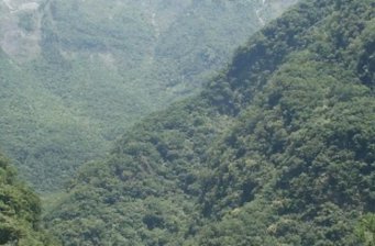 布洛灣