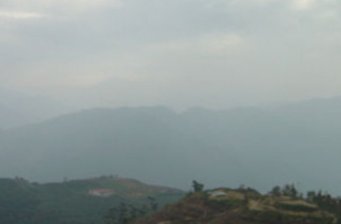 楓林農(nóng)場
