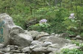 明月山農莊