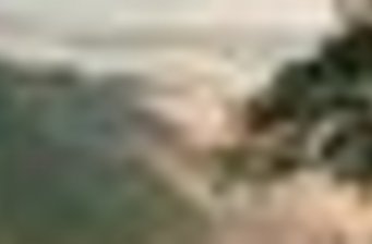 四野屯自然保護區