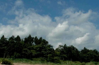 三百山森林公園