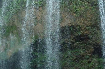 大口國家森林公園