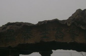 滕州盈泰生態(tài)家園