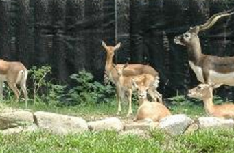 壽山動物園