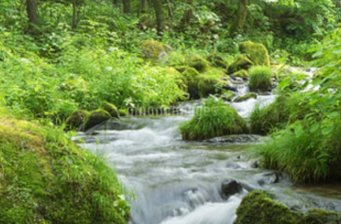 電白莊山