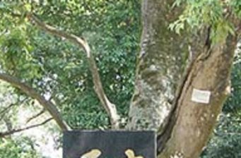 國恩寺
