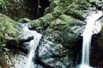 大王山國家森林公園