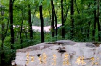 紅壇寺省級森林公園