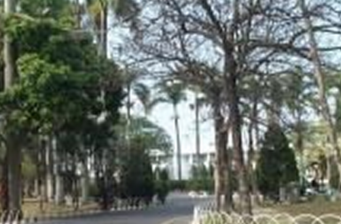 省議會